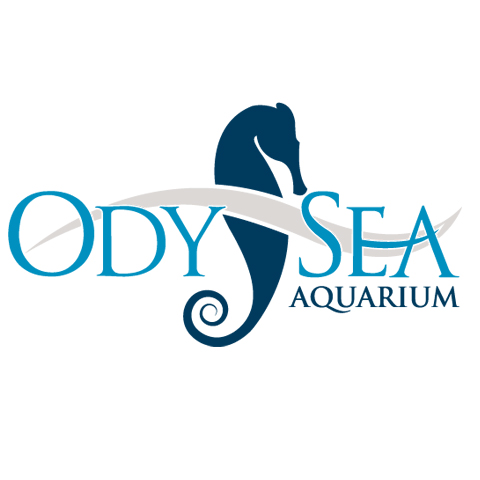 Odysea Aquarium